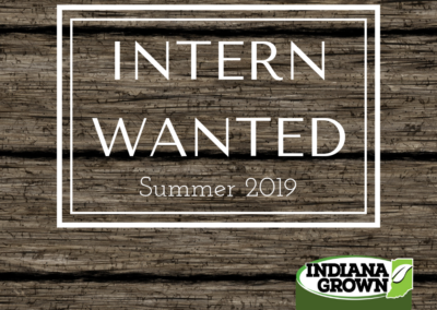 INTERN WANTED!