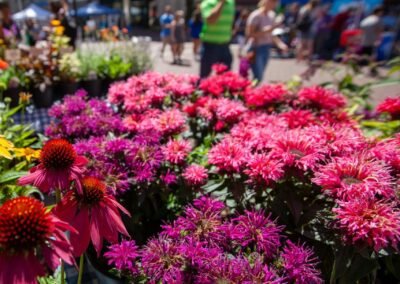 A Celebration of Indiana Agriculture