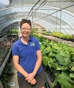 Five on Friday – Linnea’s Greenhouse