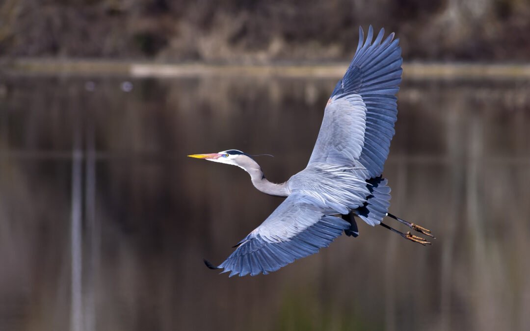 Outdoor Markets are Connected to Nature