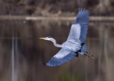 Outdoor Markets are Connected to Nature